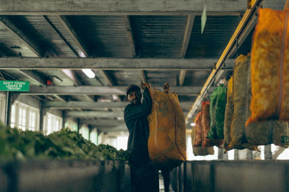 Image of a man working in a tea factory